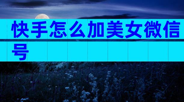 快手怎么加美女微信号