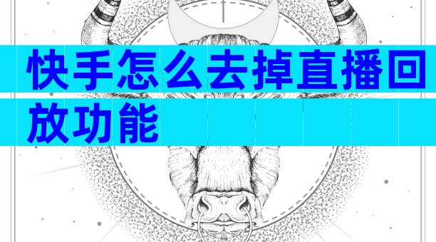 快手怎么去掉直播回放功能