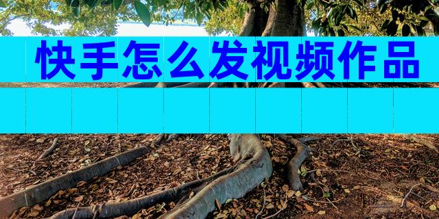 快手怎么发视频作品
