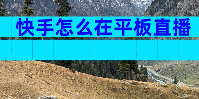 快手怎么在平板直播