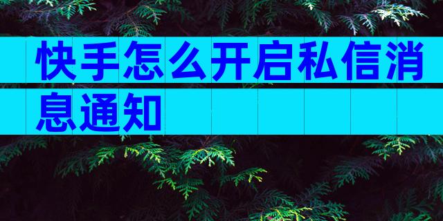 快手怎么开启私信消息通知