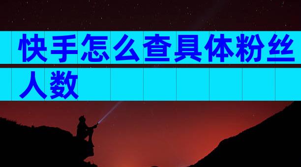 快手怎么查具体粉丝人数