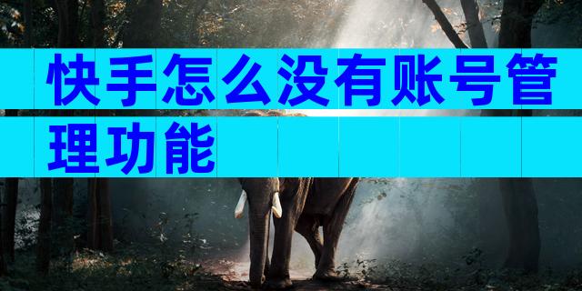 快手怎么没有账号管理功能