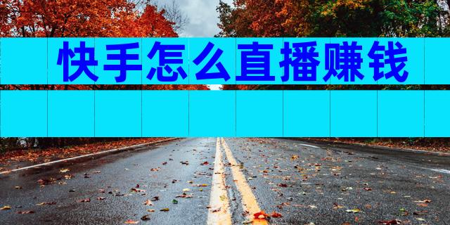 快手怎么直播赚钱