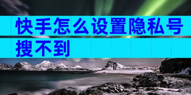 快手怎么设置隐私号搜不到