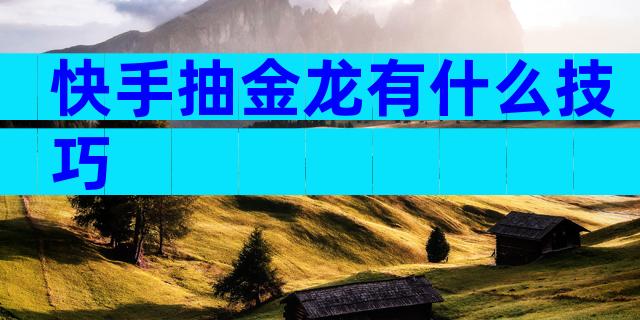快手抽金龙有什么技巧