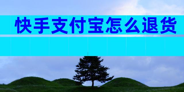 快手支付宝怎么退货