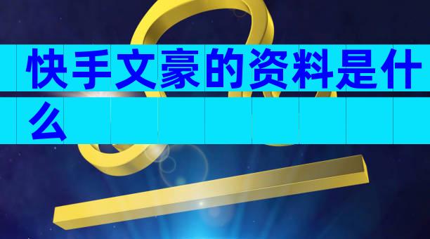 快手文豪的资料是什么