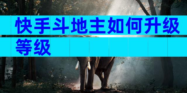 快手斗地主如何升级等级