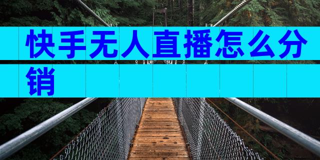 快手无人直播怎么分销