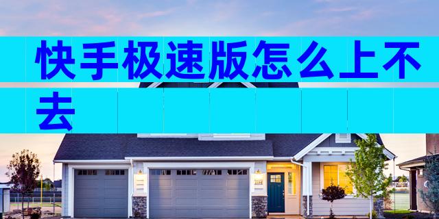 快手极速版怎么上不去