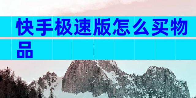 快手极速版怎么买物品