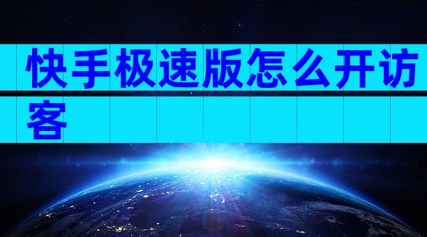 快手极速版怎么开访客