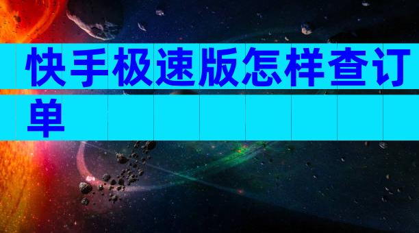 快手极速版怎样查订单