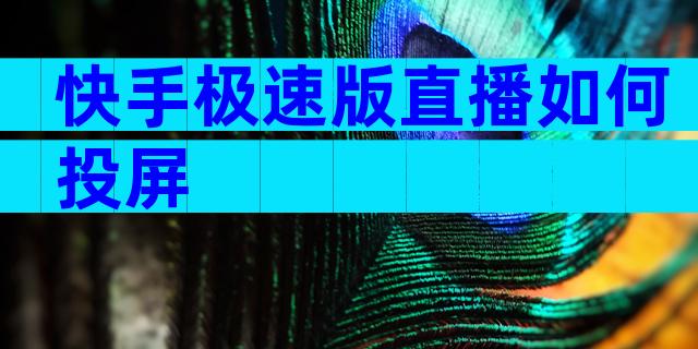 快手极速版直播如何投屏