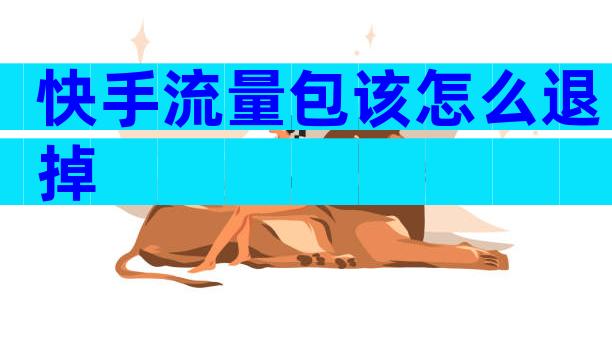 快手流量包该怎么退掉