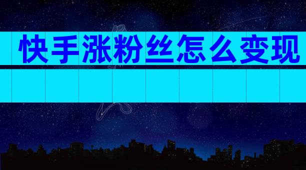 快手涨粉丝怎么变现