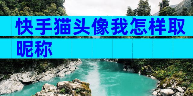 快手猫头像我怎样取昵称