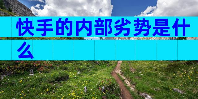 快手的内部劣势是什么