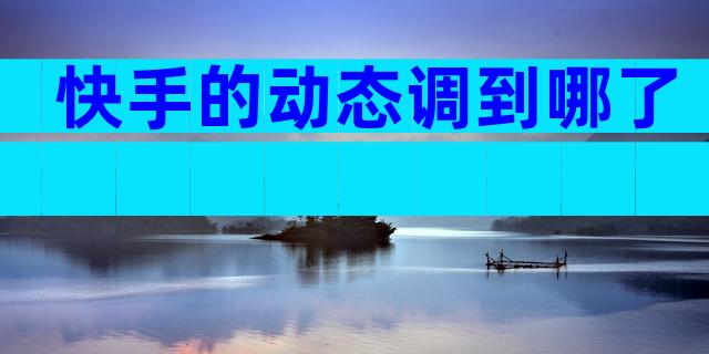 快手的动态调到哪了