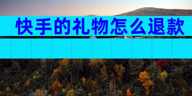 快手的礼物怎么退款