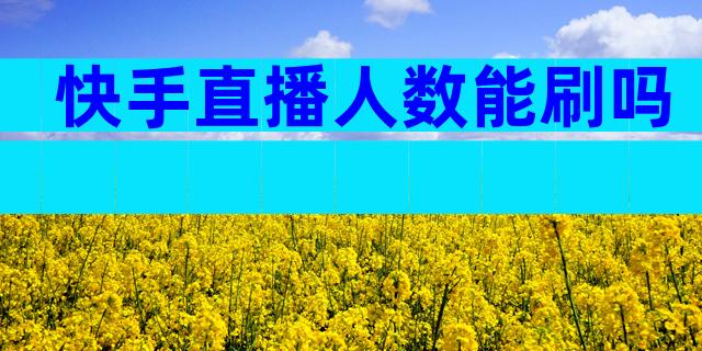 快手直播人数能刷吗