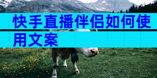 快手直播伴侣如何使用文案