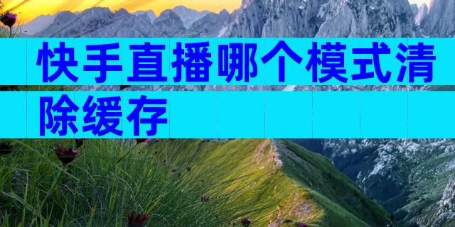 快手直播哪个模式清除缓存