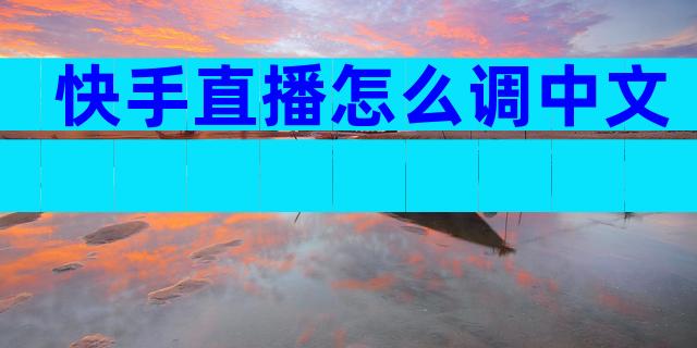 快手直播怎么调中文