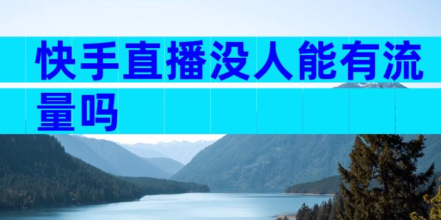 快手直播没人能有流量吗