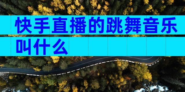 快手直播的跳舞音乐叫什么