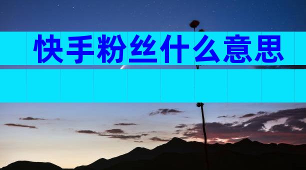 快手粉丝什么意思