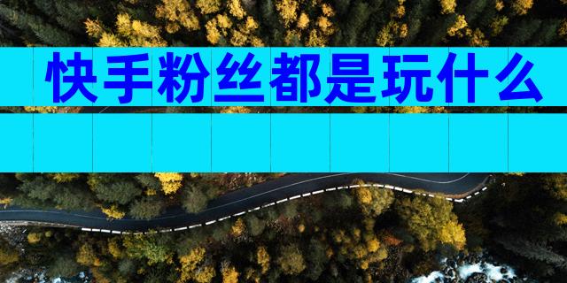 快手粉丝都是玩什么