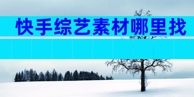 快手综艺素材哪里找