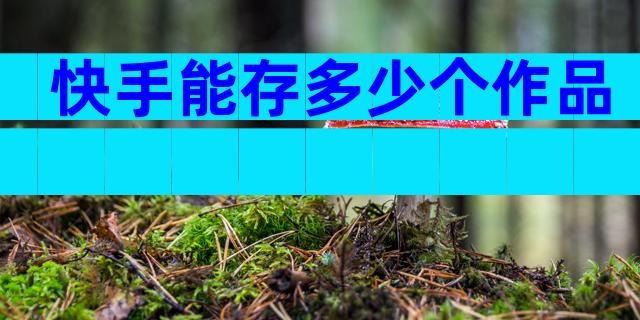 快手能存多少个作品