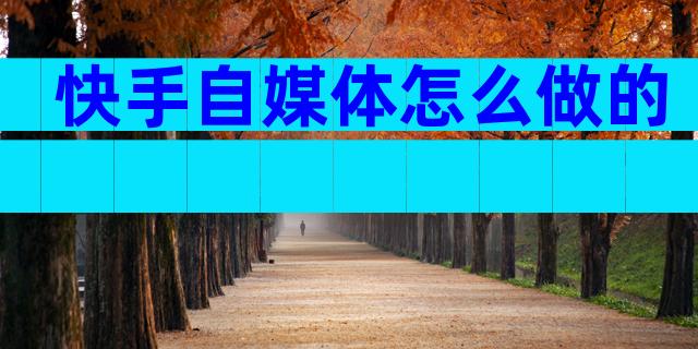 快手自媒体怎么做的