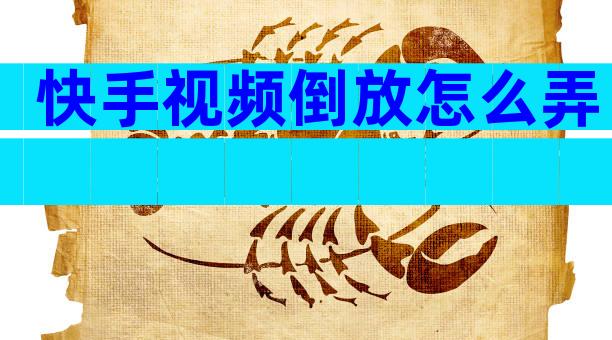 快手视频倒放怎么弄