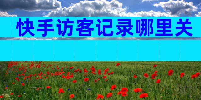 快手访客记录哪里关