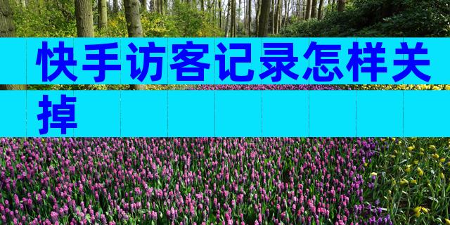 快手访客记录怎样关掉