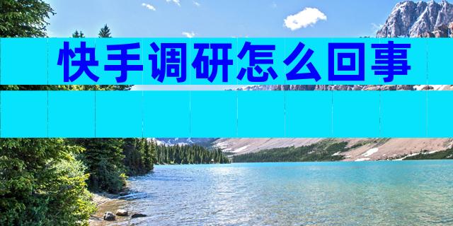 快手调研怎么回事