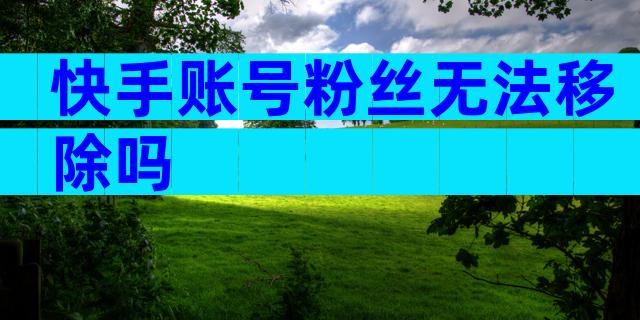 快手账号粉丝无法移除吗