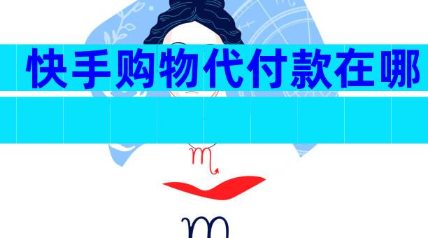 快手购物代付款在哪