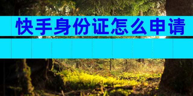 快手身份证怎么申请
