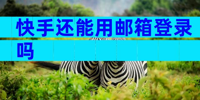 快手还能用邮箱登录吗