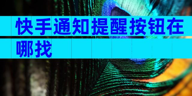 快手通知提醒按钮在哪找