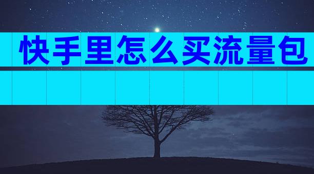 快手里怎么买流量包