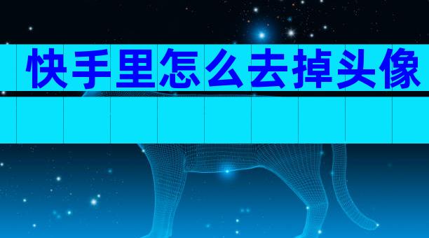 快手里怎么去掉头像