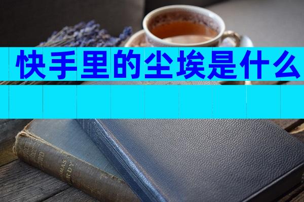 快手里的尘埃是什么