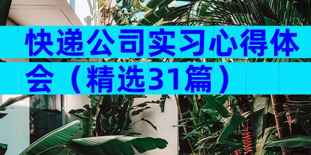 快递公司实习心得体会（精选31篇）