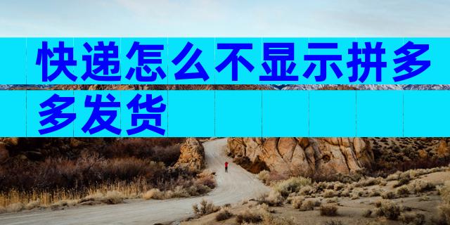 快递怎么不显示拼多多发货